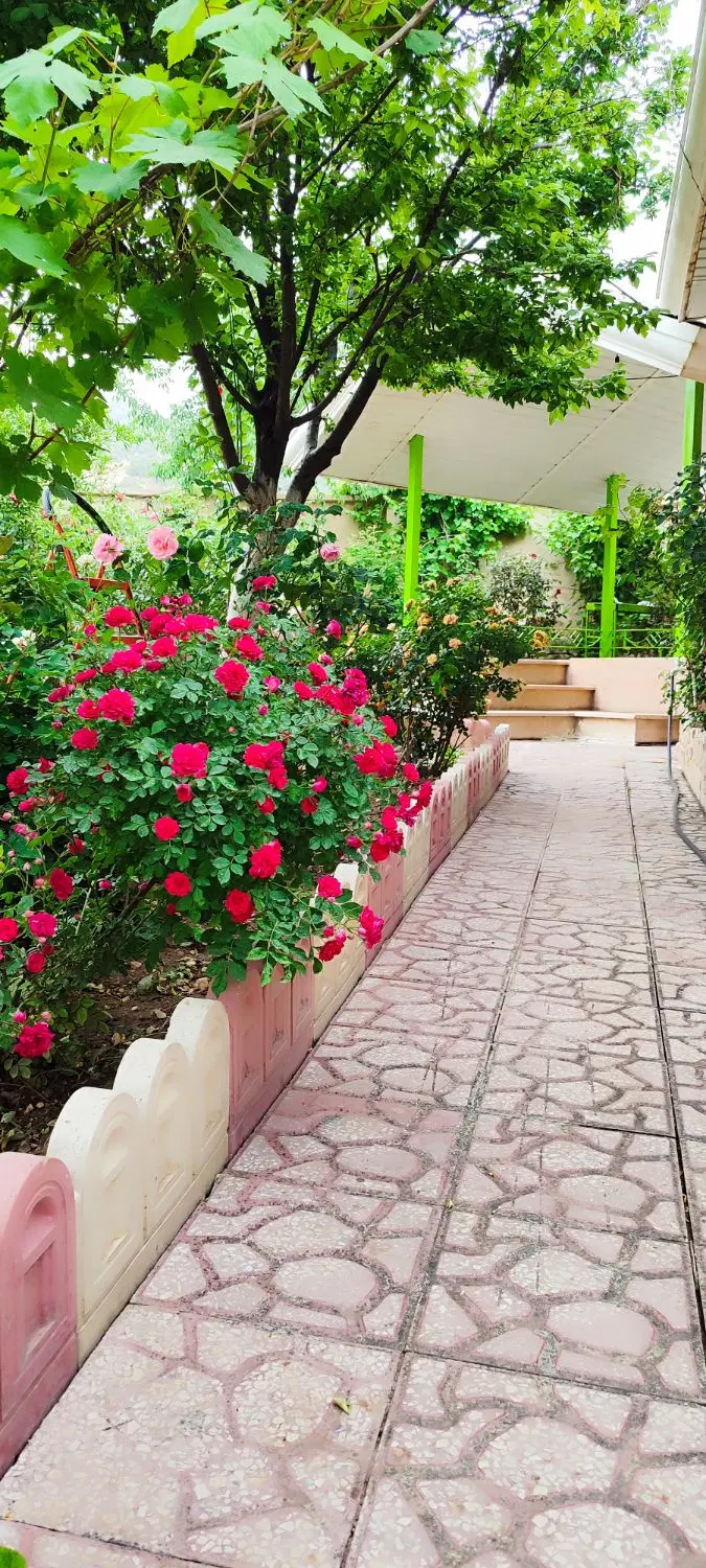 ویلا باغ