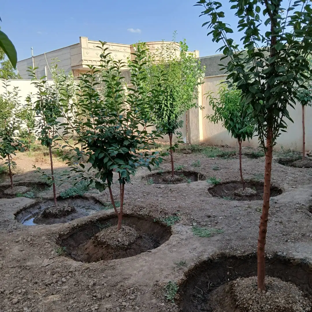۶۱۰ متر ویلایی با جواز و سند