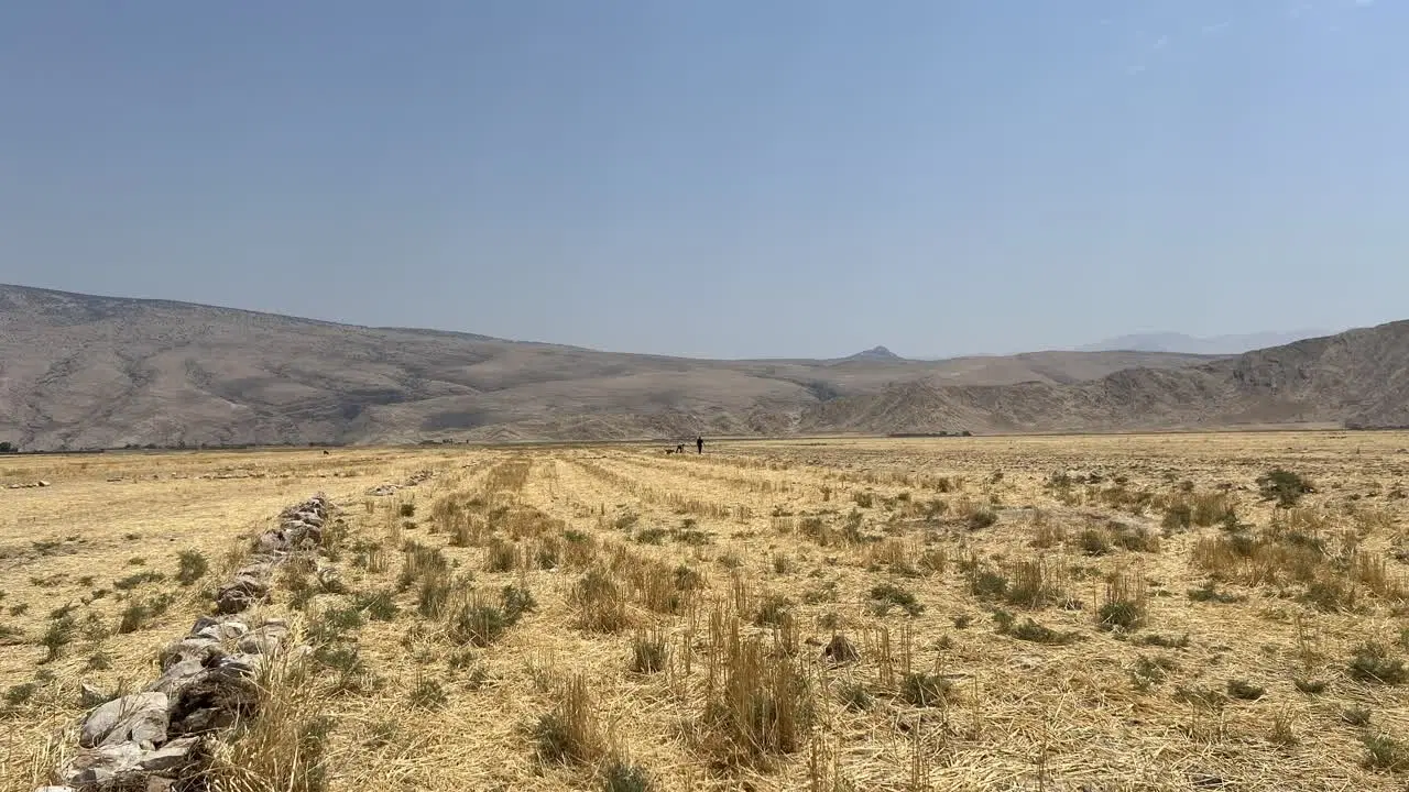 زمین سند دار کوهباد (کهباد) 2000 متری