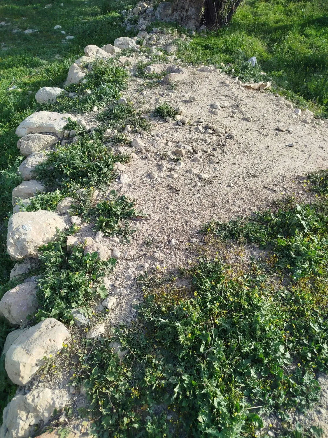 فروش زمین