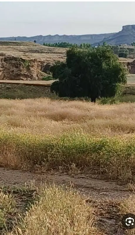 زمین کشاورزی بخش الوار