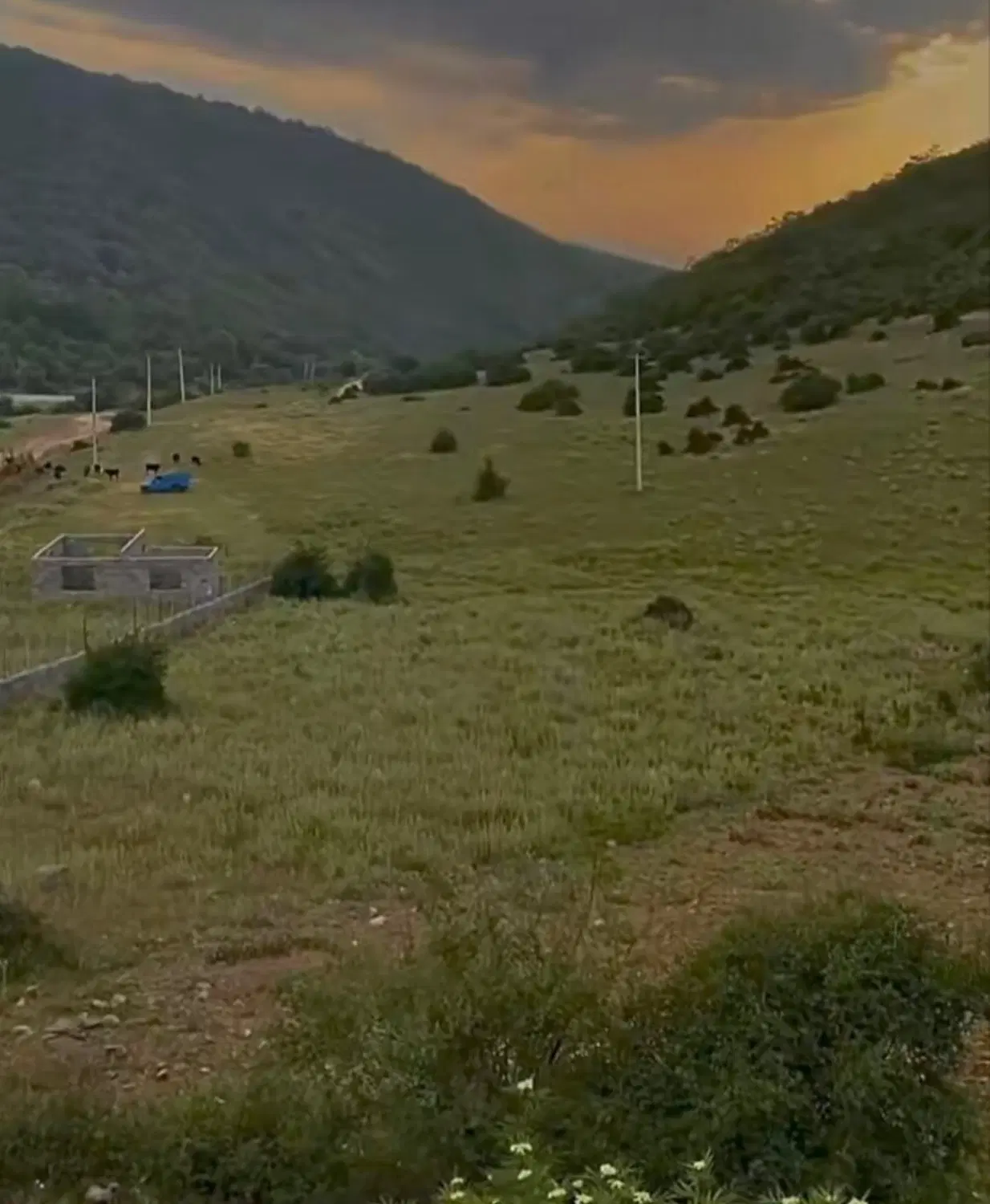 زمین کیاسر