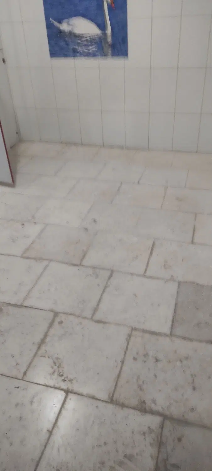 سوییت مجردی