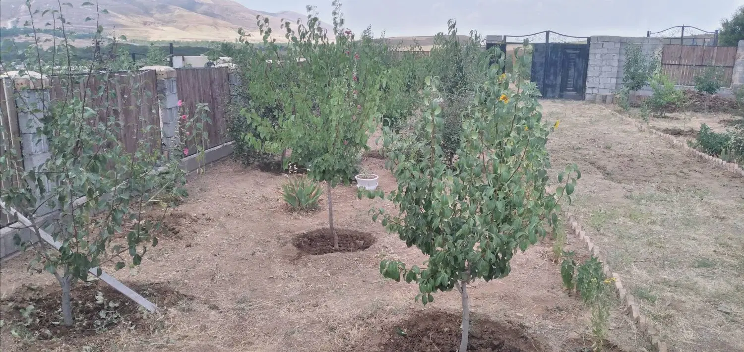 باغ ۵۰۰ متری مرندکشکسرای روستای ارلان