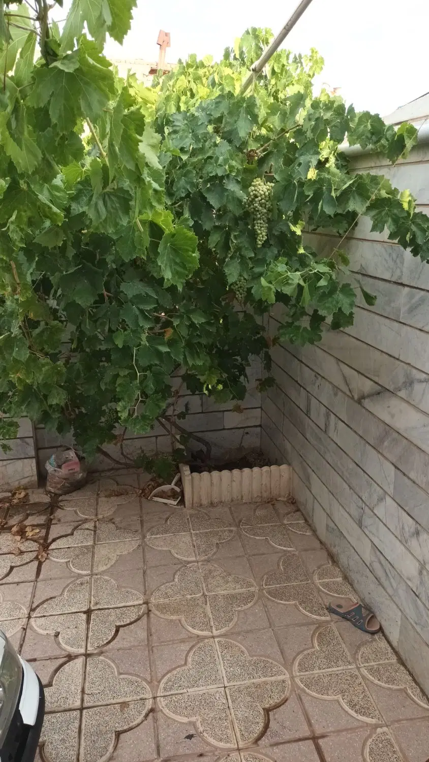 خانه ویلایی دوکله در حمیداباد