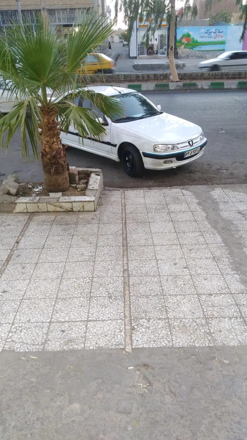 زمین ۳۰۰ متر امامت