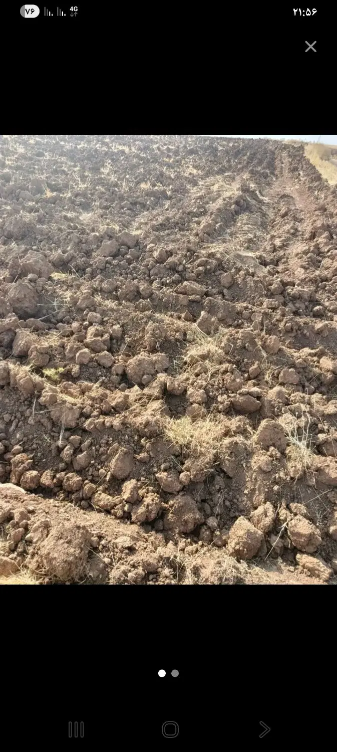 زمین اجاره ۳۰۰کیلو گندم