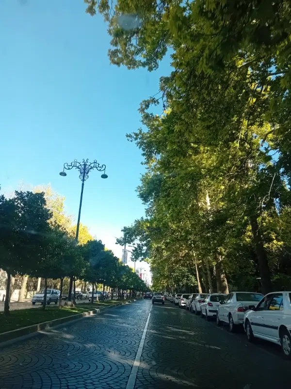 زمین ۴۰۰ متری روستای محمدصالحی