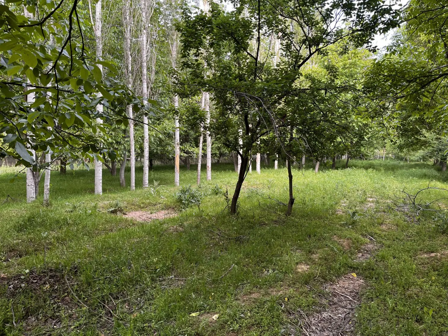 زمین ۱۷۰۰ متری