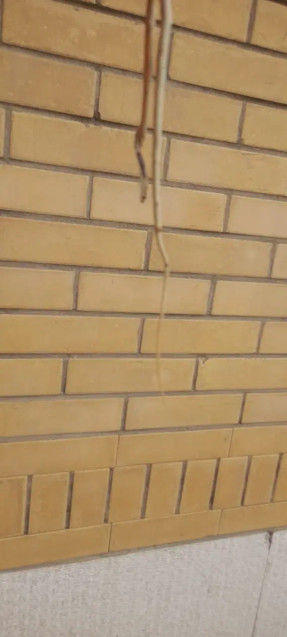 ج و ی ا    خ‌ا نه