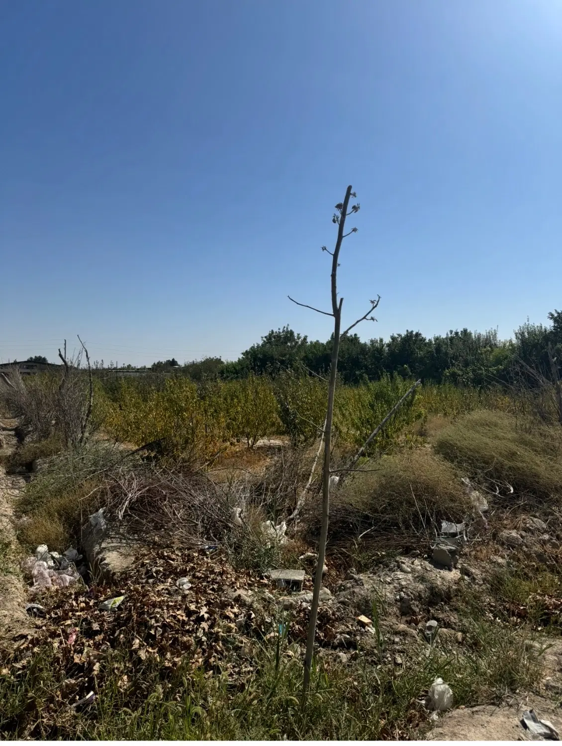 زمین در شهریار