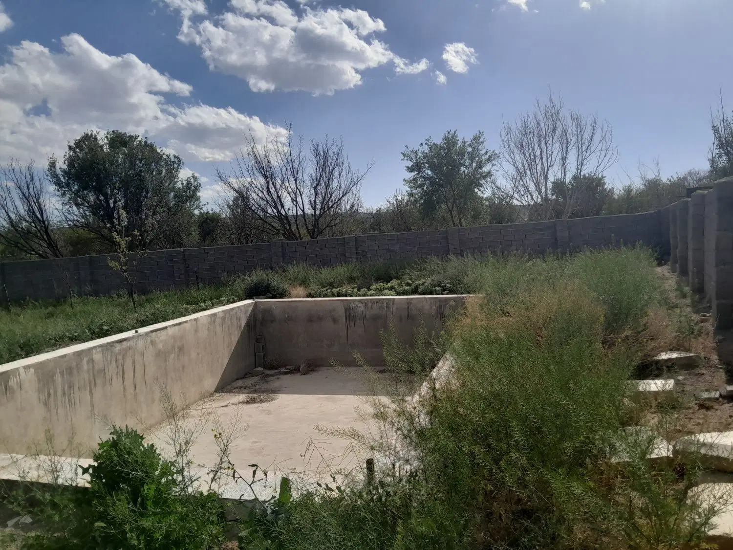 زمین باغی