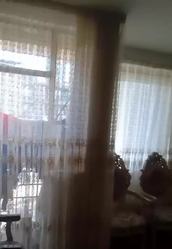 مچتمع نیستان تک خواب فول
