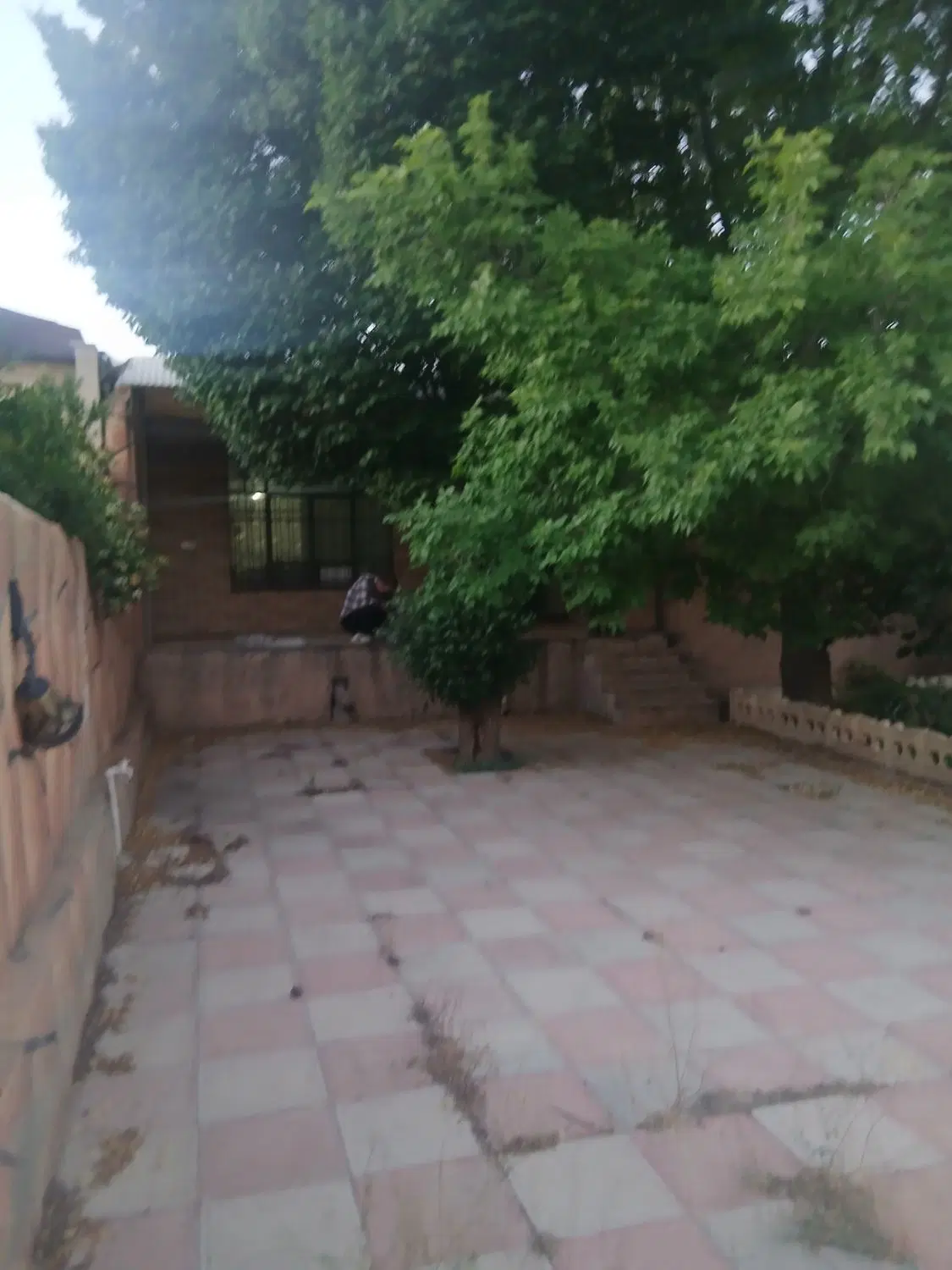 زمین