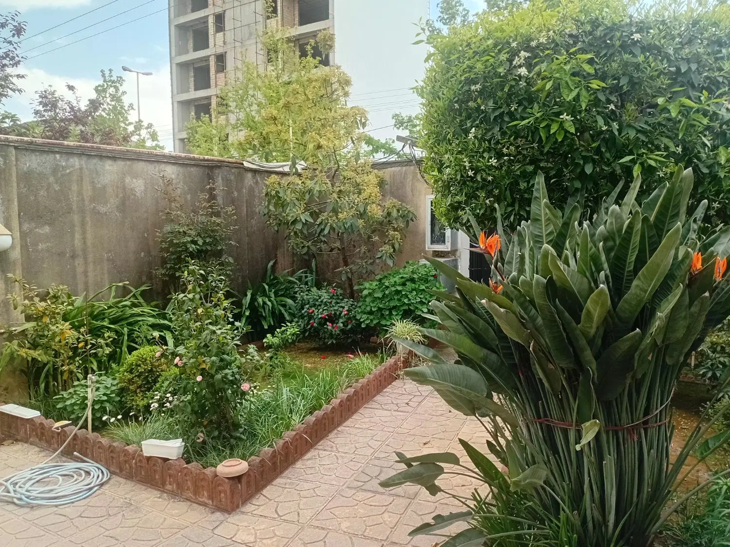 فروش ملک ویلایی