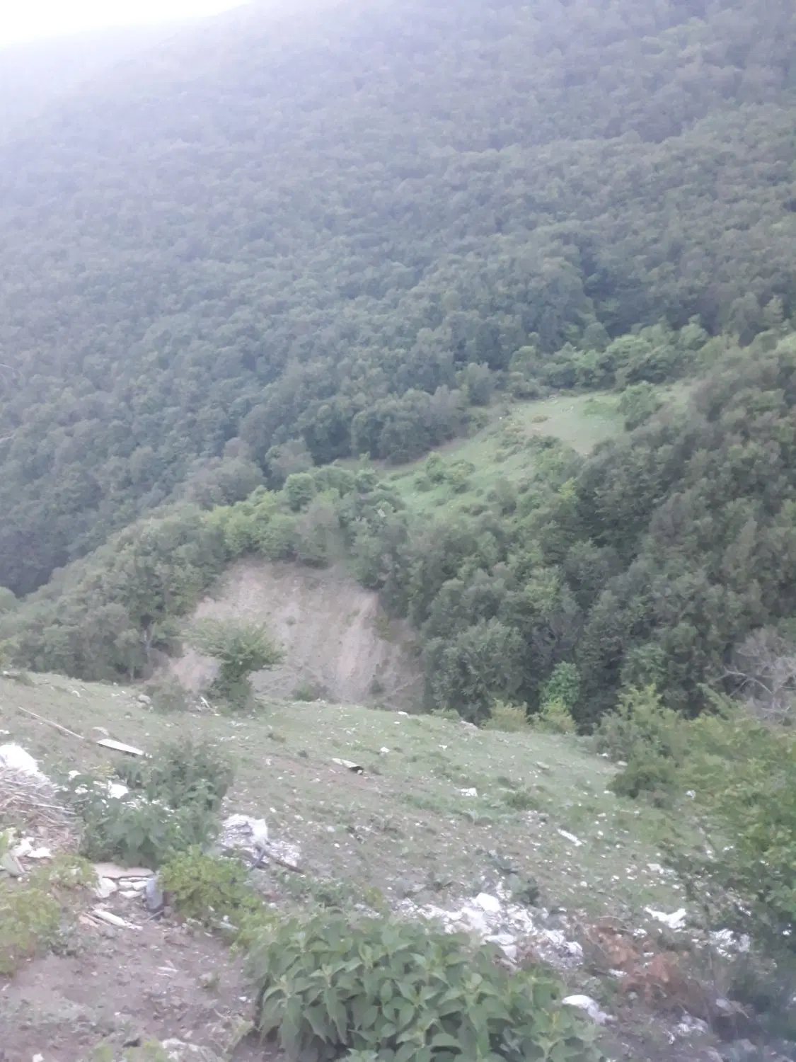 زمین تجاری مسکونی ییلاقی مرزن آباد. ناتر
