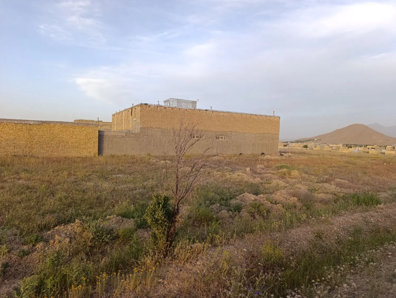 زمین باغی