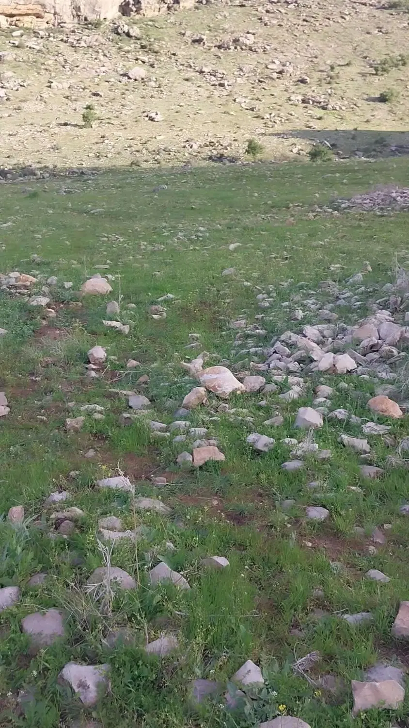 زمین کشاورزی