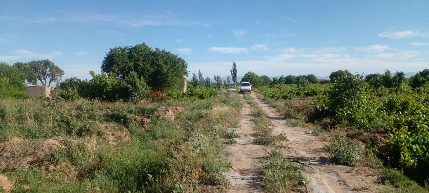 باغ باغچه زمین کشاورزی سنددار