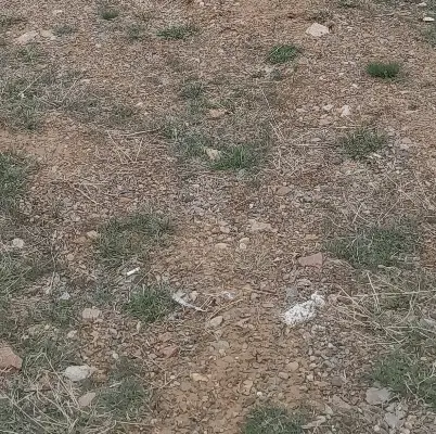 زمین باغ صوفیان روستای امیر ذکرا