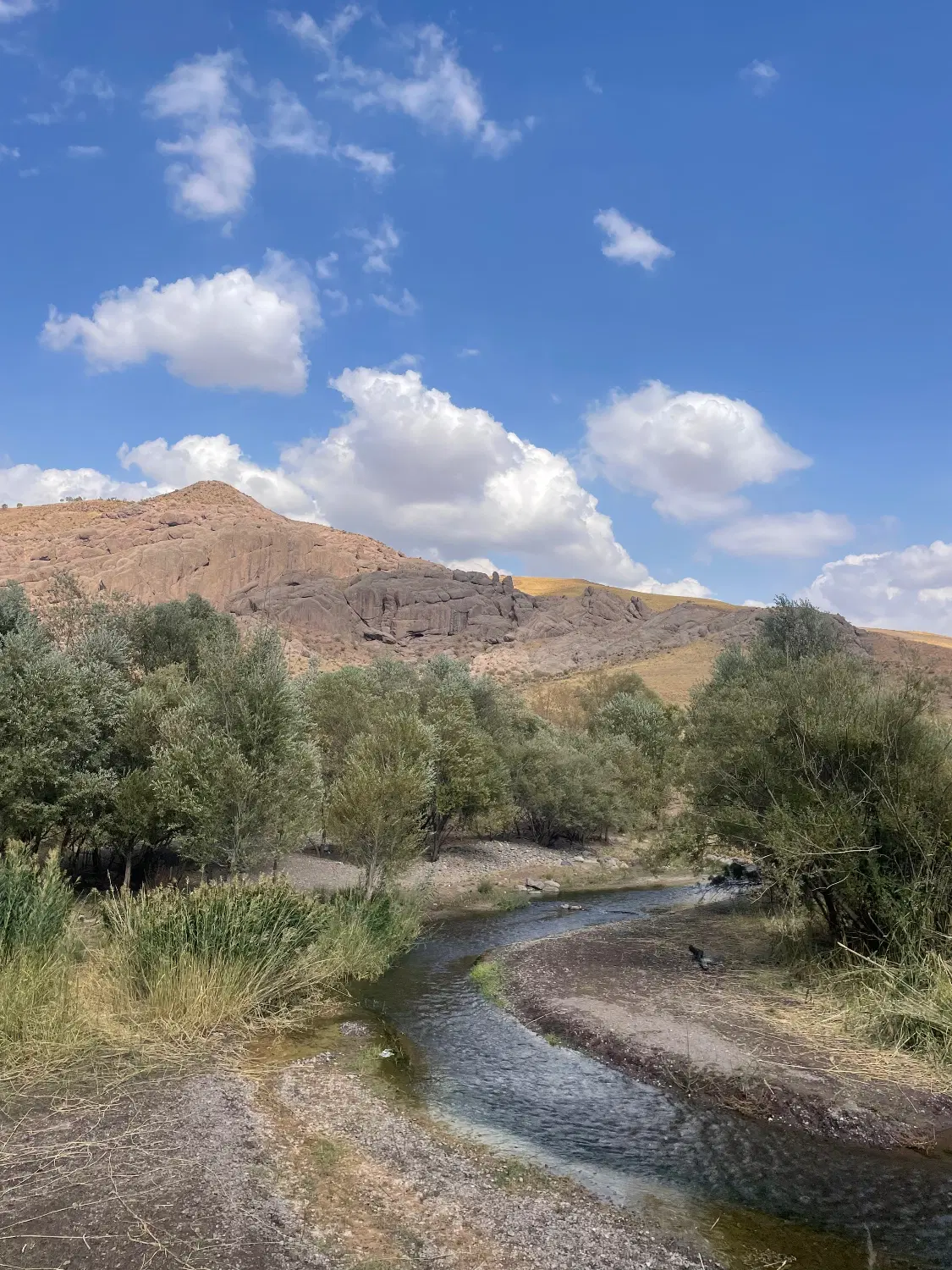 فروش باغچه وباغ