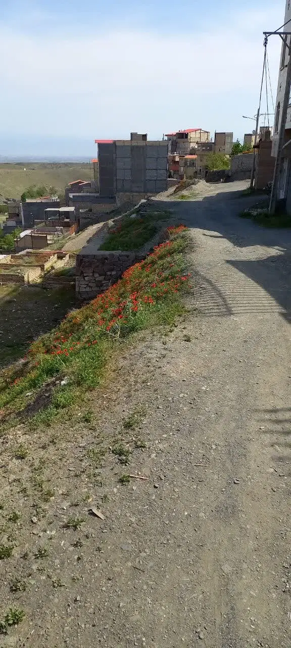 زمین بنیادی ۳۸۸