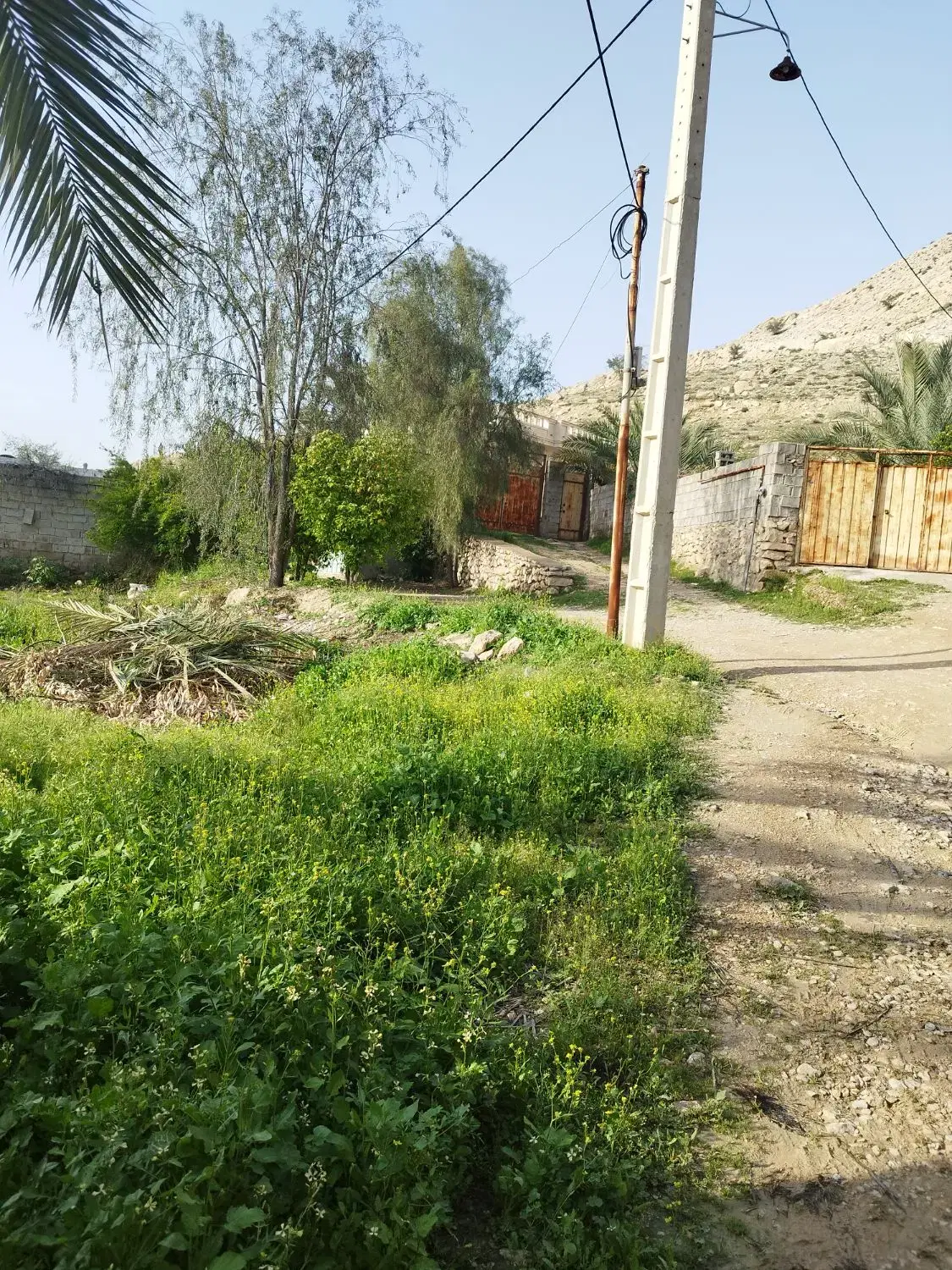 زمین مسکونی ۵۰۰متری شاپور