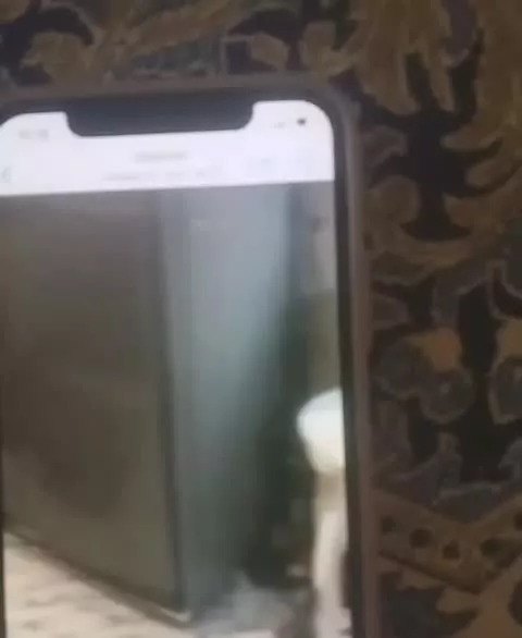 اجاره آپارتمان مسکونی گلستان بهارستان پنجم