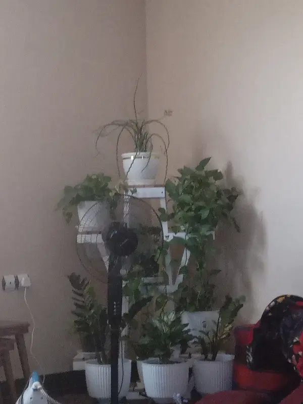 خانه ویلایی دوخواب رهن کامل