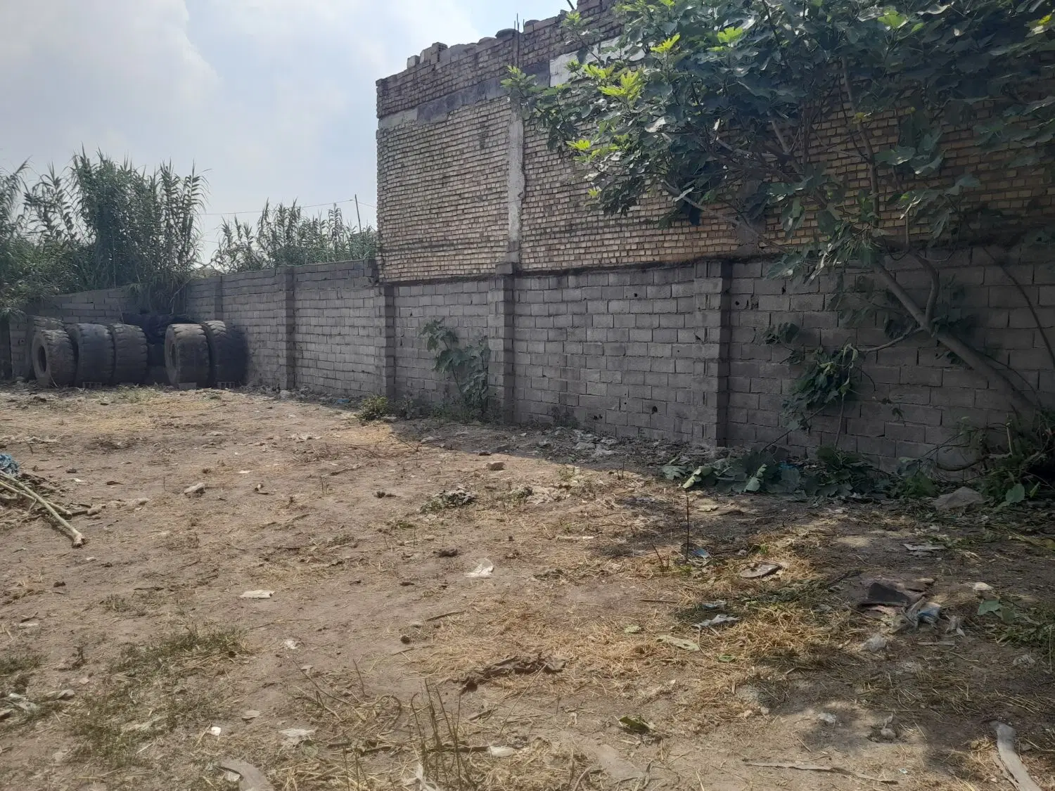 اجاره زمین جرجان ۲۴ با برق ۳ فاز