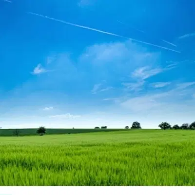 زمین معاوضه