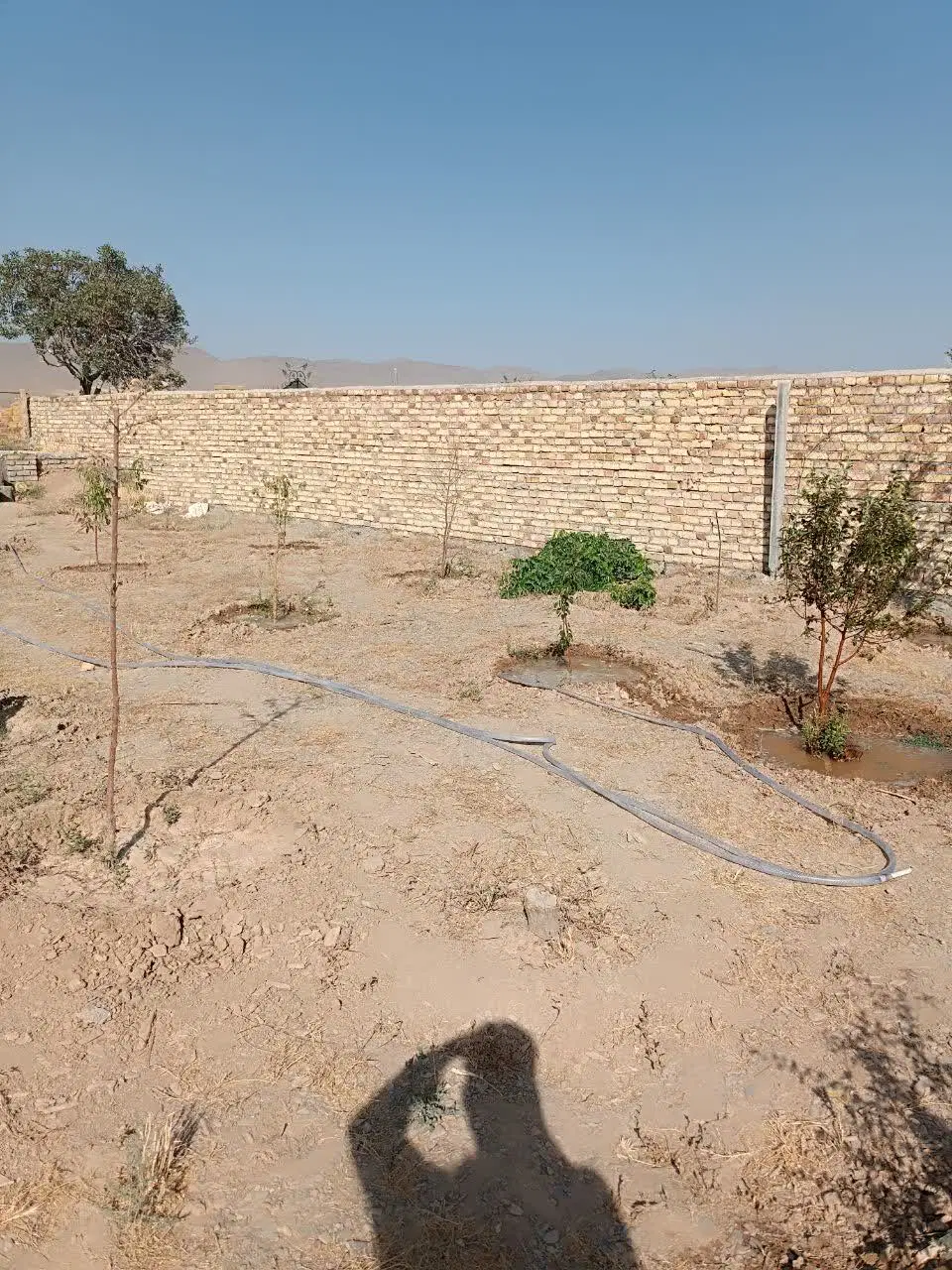 زمین ۵۰۰متری