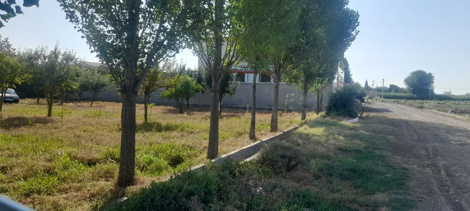 زمین 215متری