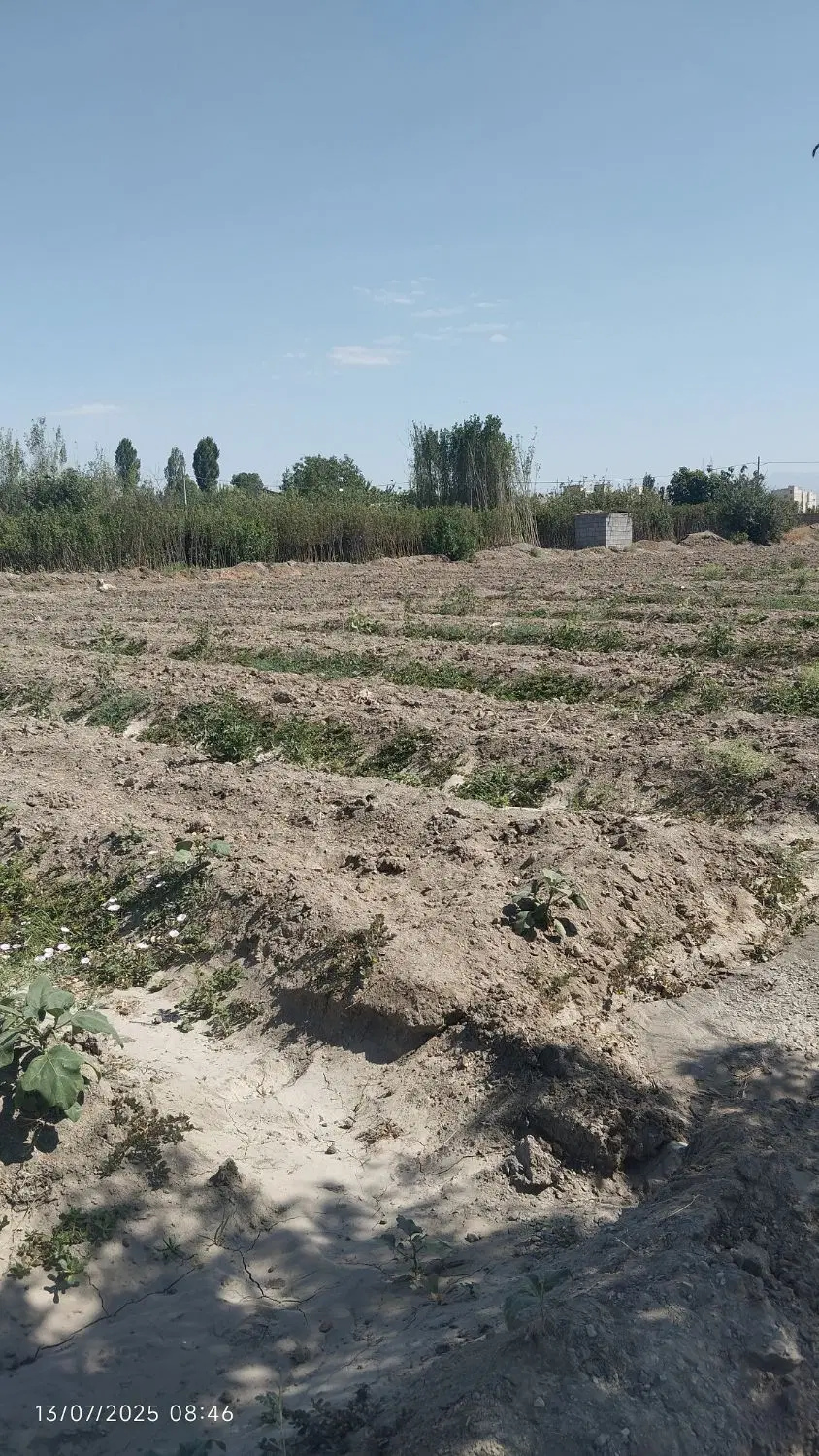 زمین با تجاری فعال