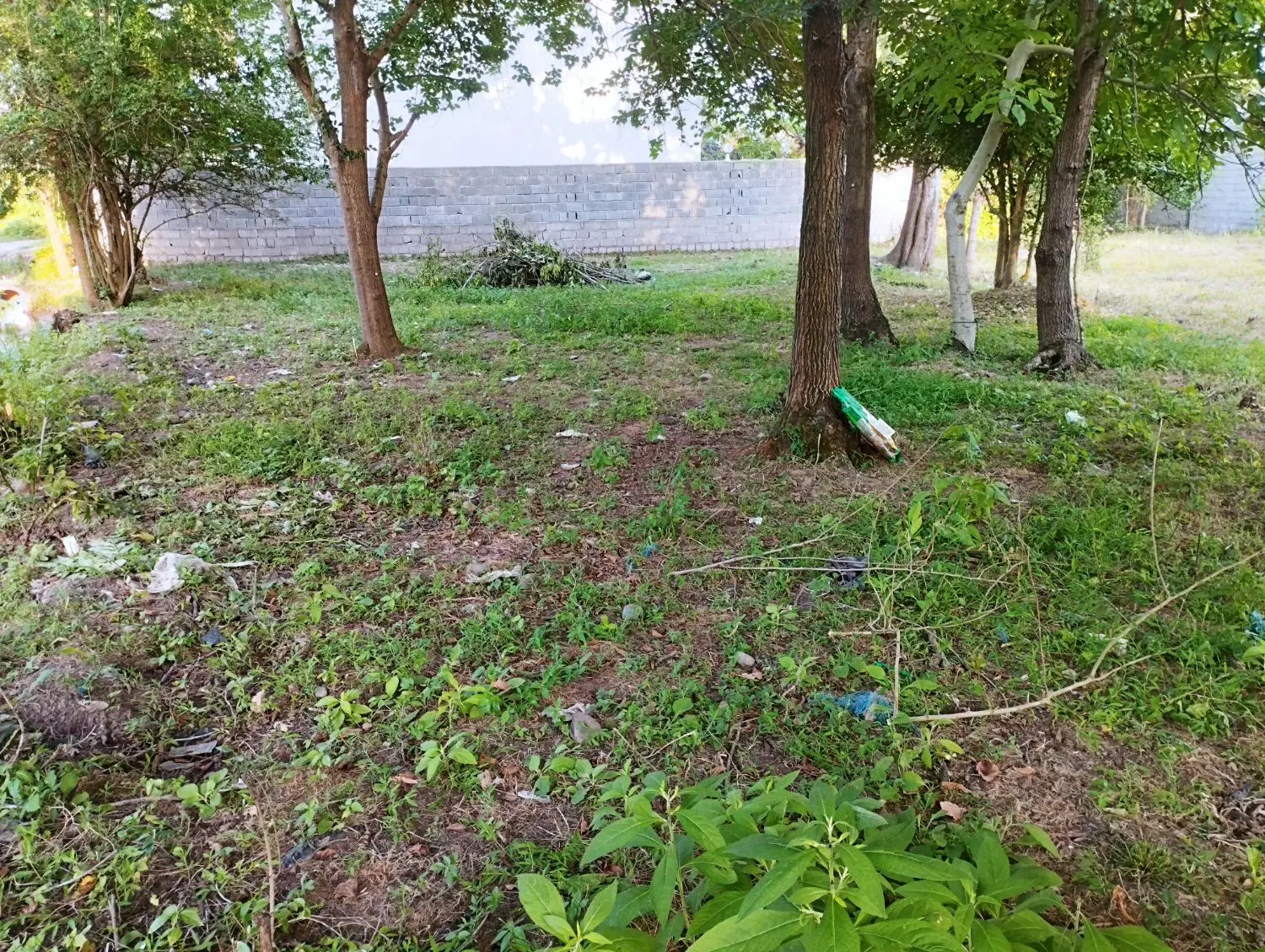 زمین مسکونی 700متری پاشاکی