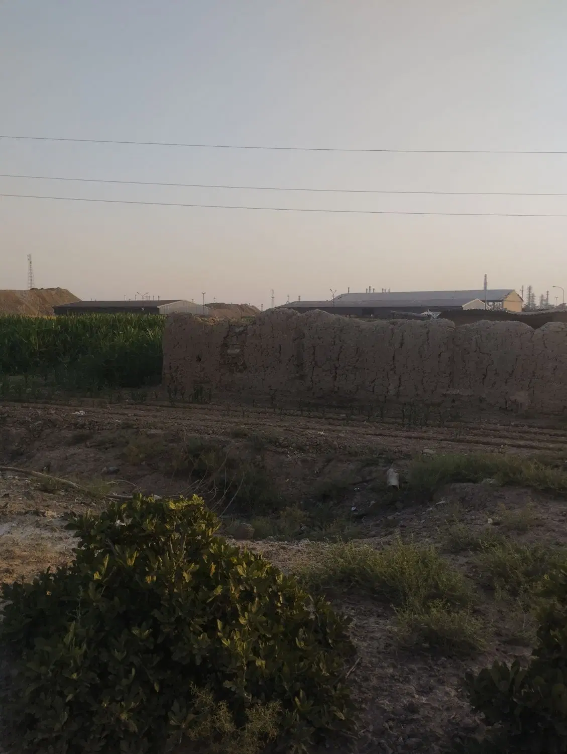 فروش زمین کشاورزی