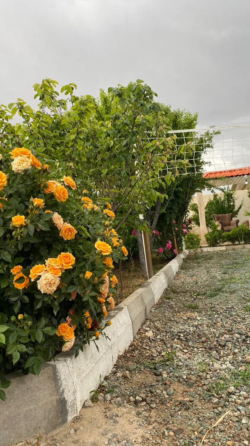 باغچه ویلا 500 متری