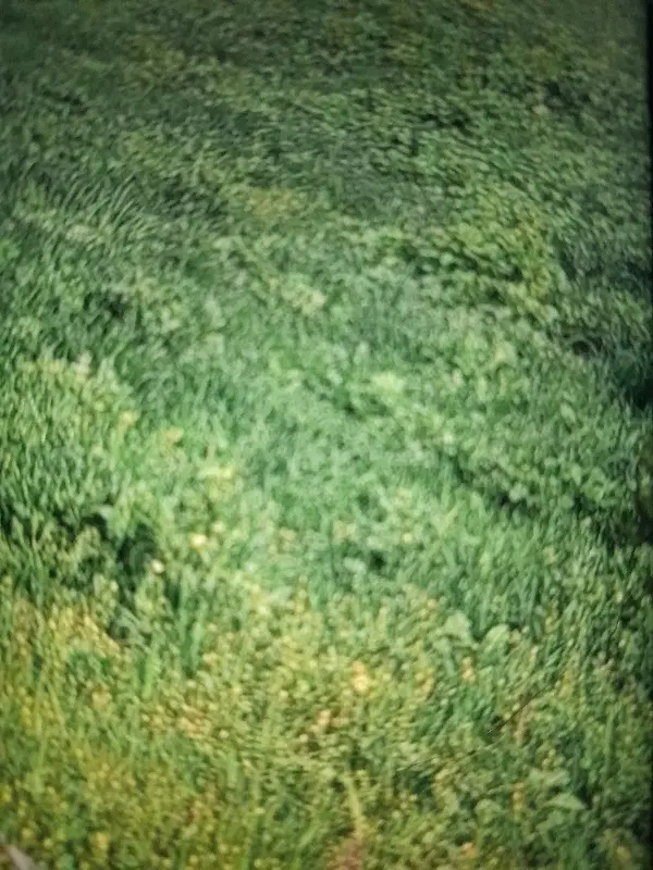 زمین زراعی مسکونی