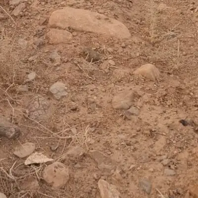 زمین ۱۰۶ متر