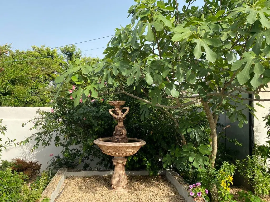 ویلای دربست ۵۰۰ متری
