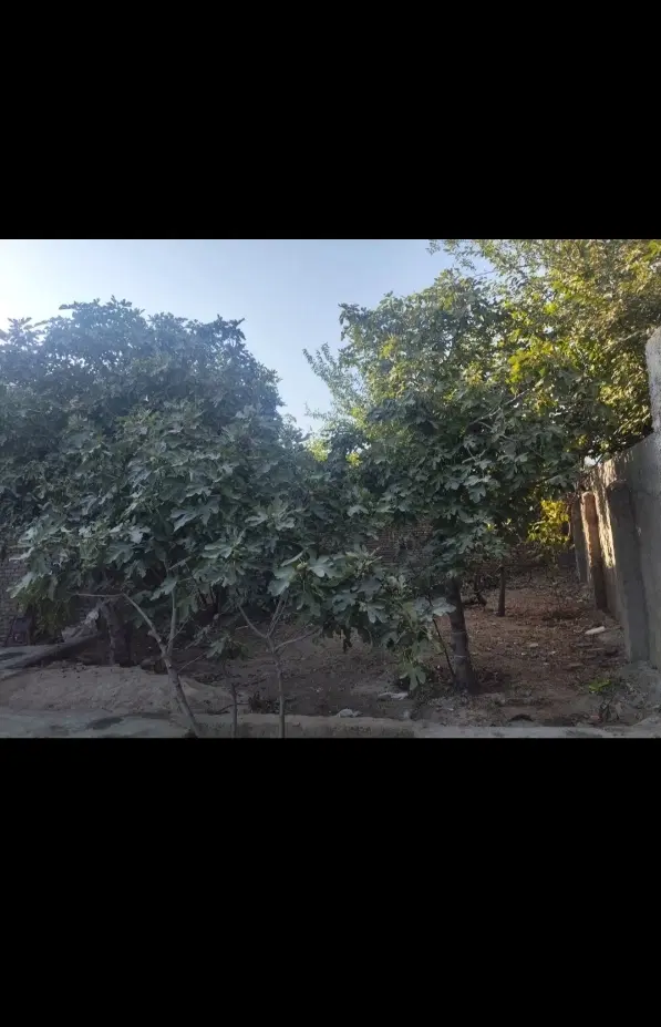 رهن و اجاره خانه خیابان سر نبش چمران ۱۱