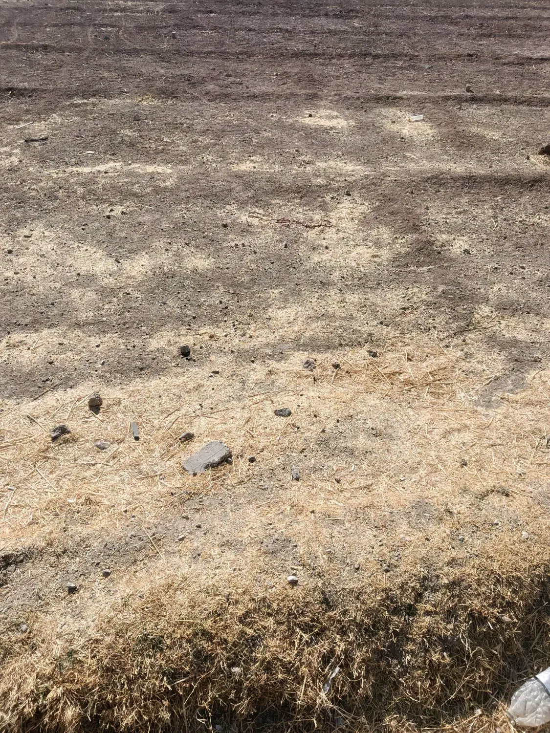 زمین مسکونی قهنویه