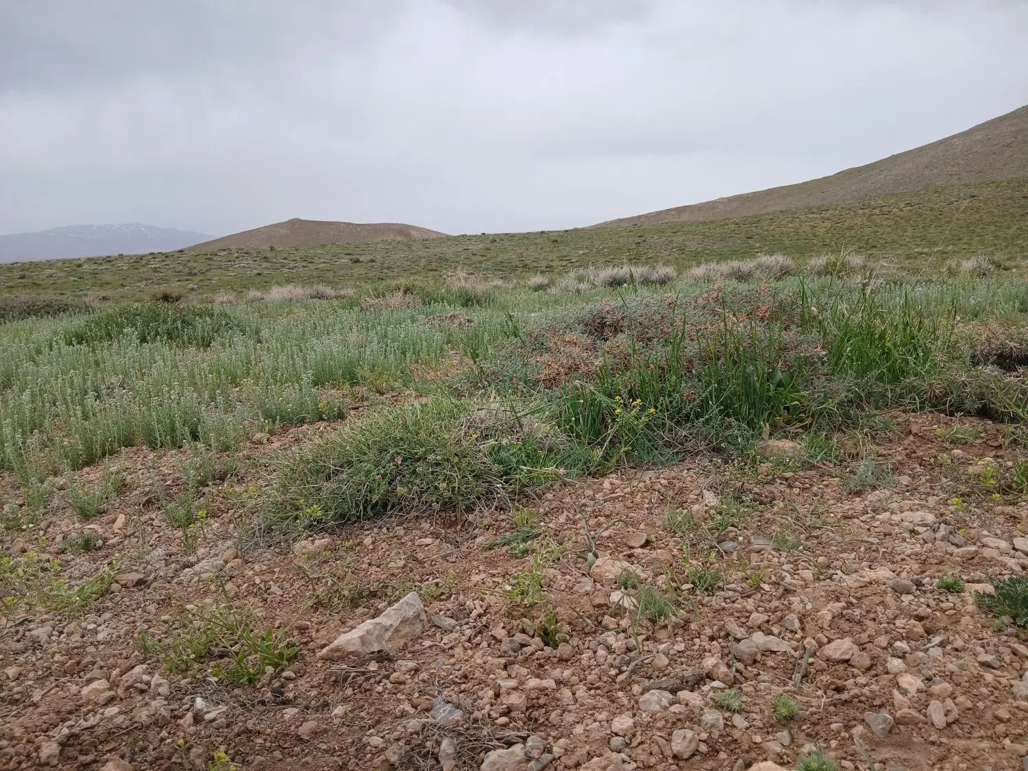 فروش مسکونی دوطبقه اصغراباد