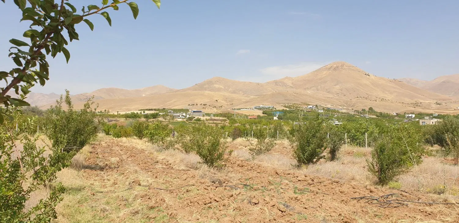 زمین کشاورزی خشکه دول،، جنب روستای حسن آباد