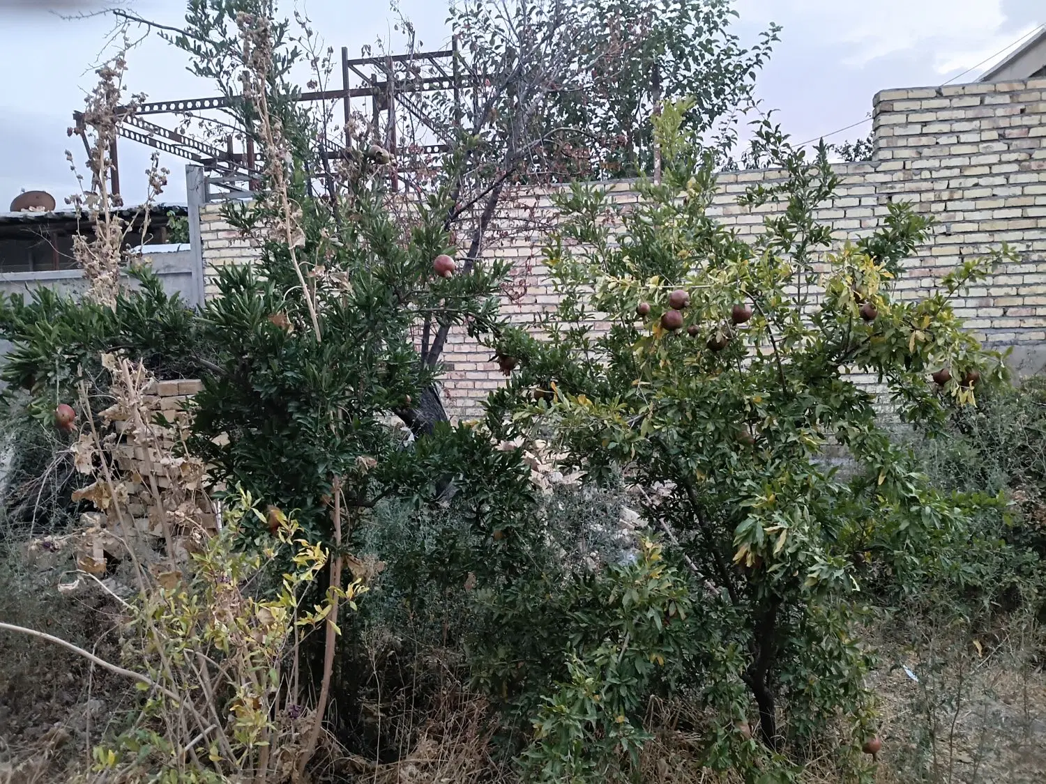 زمین مسکونی