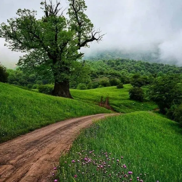 فروش زمین