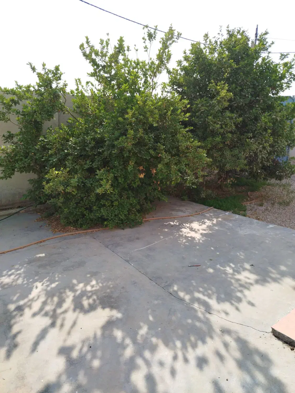 خونه ویلایی بویری شبانکاره معاوضه