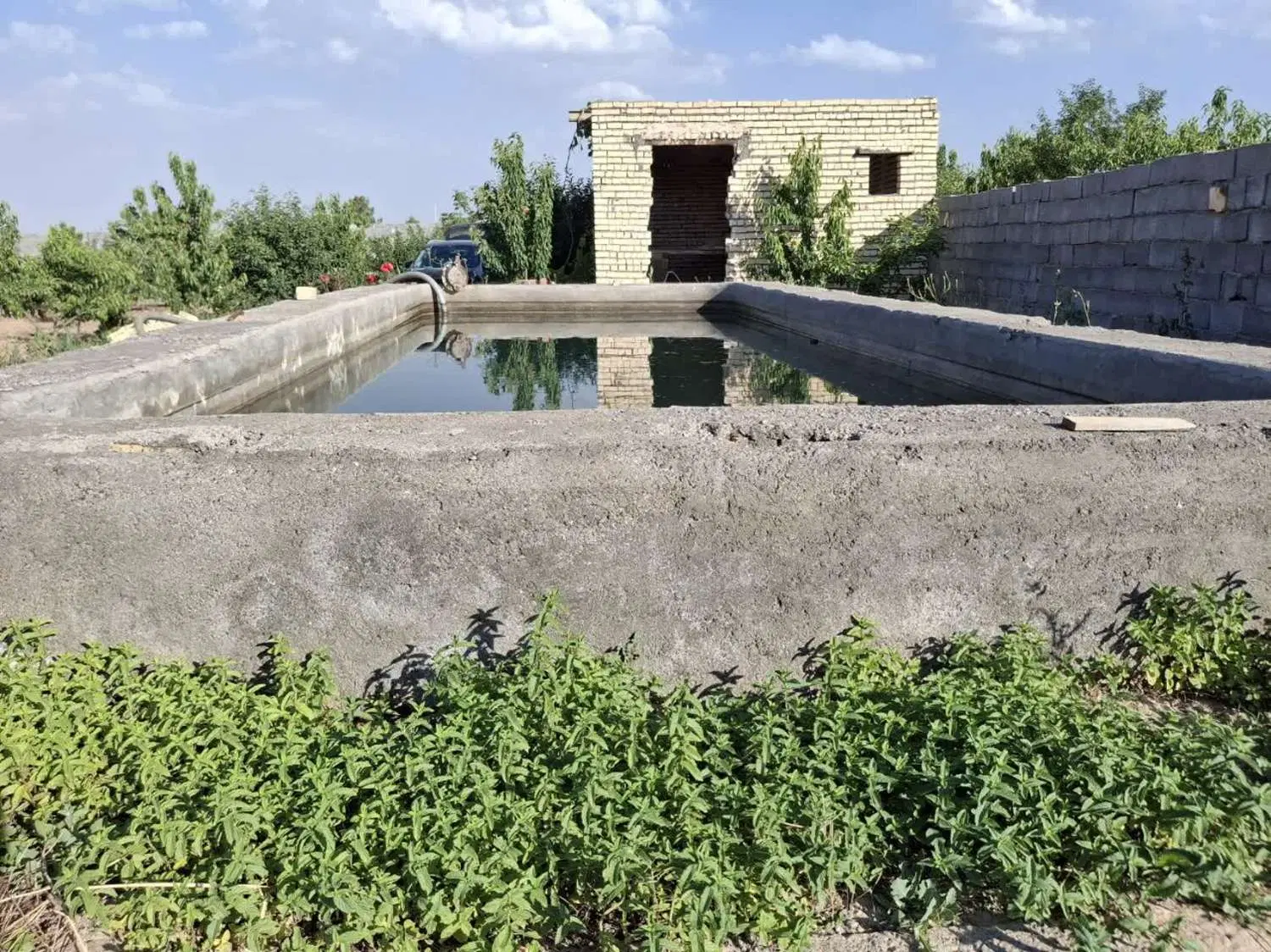 باغ آماده استفاده  آب اختصاصی  استخر ذخیره آب
