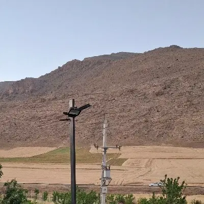 دامداری