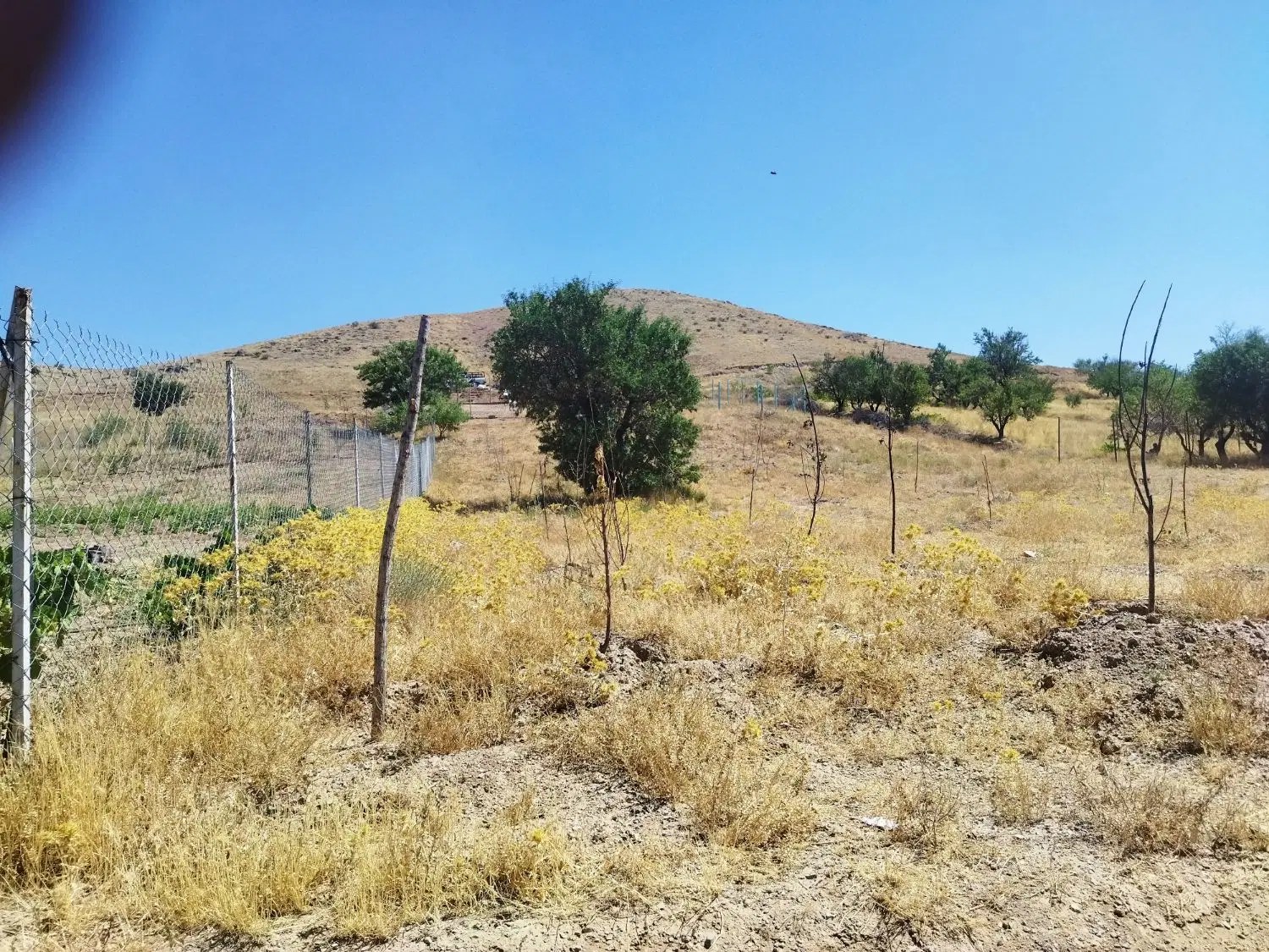 زمین باغی چورزق زنجان.معاوضه شرایطی